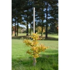 B&M Tree Pole 8ft