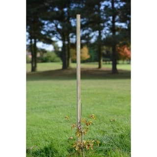 B&M Dahlia Stakes 1.2m X 25mm
