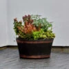 B&M Oakwood Barrel Planter 50cm