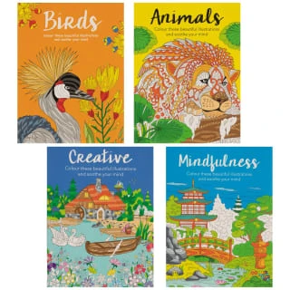 B&M Adult Colouring Book - Birds - Image 2