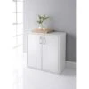 Lokken 2 Door Cupboard