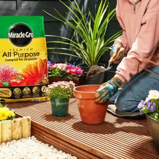 Miracle-Gro Premium All Purpose Compost 50L - Image 3