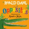 B&M Roald Dahl Board Book - Opposites