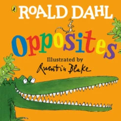 B&M Roald Dahl Board Book - Opposites