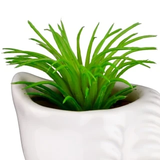 B&M Scandi Shore Small Shell Succulent - Image 8