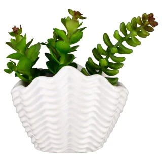 B&M Scandi Shore Small Shell Succulent - Image 3