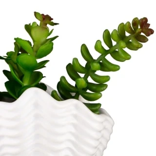 B&M Scandi Shore Small Shell Succulent - Image 9