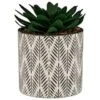 B&M Succulent In Botanist Print Pot - Green