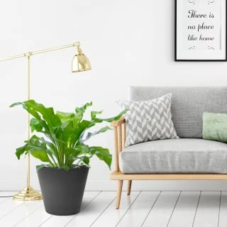 B&M Octavia Planter 38cm - Pewter - Image 2