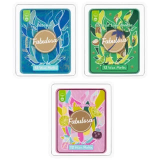 Fabulosa Wax Melts 12pk - Pink Lemonade - Image 3