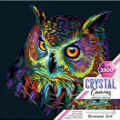 B&M Crystal Canvas Nocturnal Owl