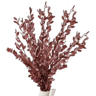 B&M Eucalyptus In Stone Pot - Image 2