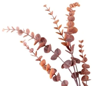 B&M Eucalyptus In Vase - Image 2