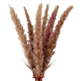 B&M Blush Vase With Pampas - Image 2