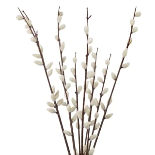 B&M Pussy Willow In White Vase - Image 2