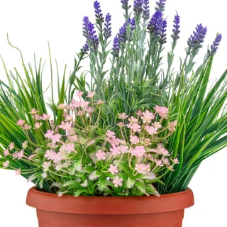 Bloom Flowers In Large Planter - Light Pink - Image 2
