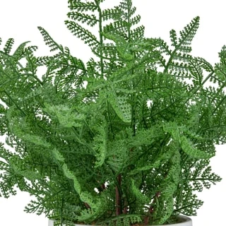 Bloom Premium Foliage In Cream Planter - Image 2