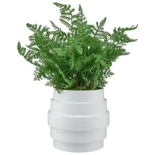 Bloom Premium Foliage In Cream Planter
