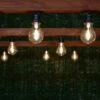 Eveready Mains Powered LED Bulb String Lights 20pk - Warm White