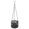 B&M Urban Eden Metal Hanging Planter