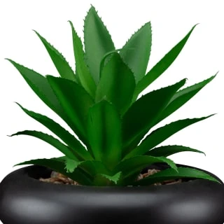 B&M Succulent In Bubble Vase - Image 2