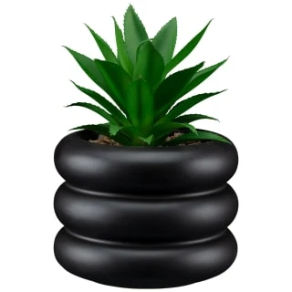 B&M Succulent In Bubble Vase