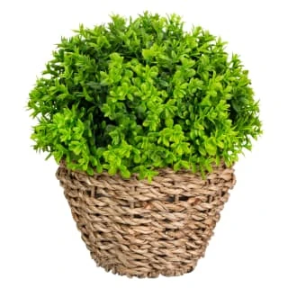 B&M Bush In Seagrass Pot