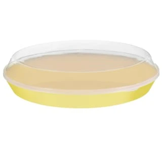 B&M Food Tray With Clear Lid - Yellow